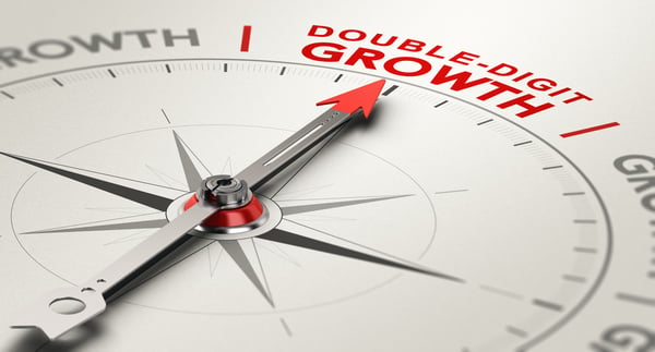 A Strategic Guide to Double-Digit Revenue Growth