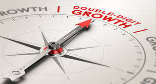 A Strategic Guide to Double-Digit Revenue Growth