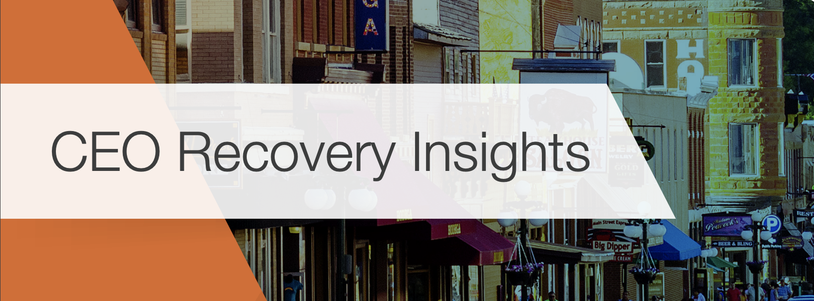 CEO Recovery Insights: Expectations & Strategies for the Mid-Market ...